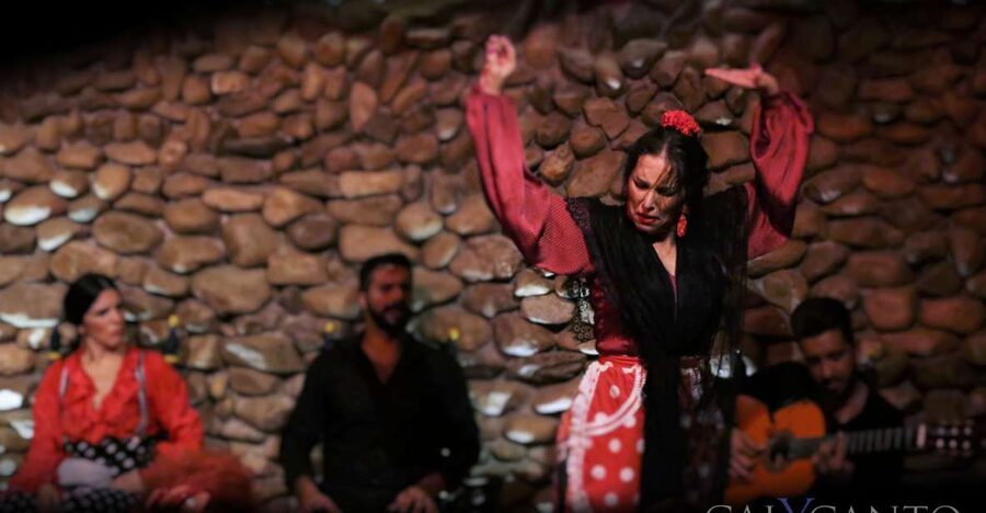 Malaga: Authentic Flamenco Show at El Gallo Ronco - Key points at a glance