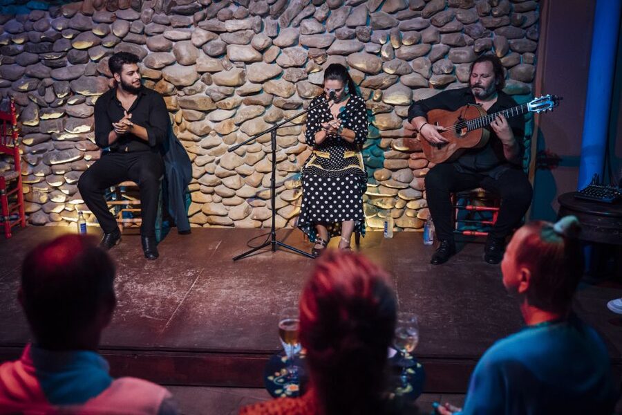 Malaga: Authentic Flamenco Show at El Gallo Ronco - What the one-hour show includes