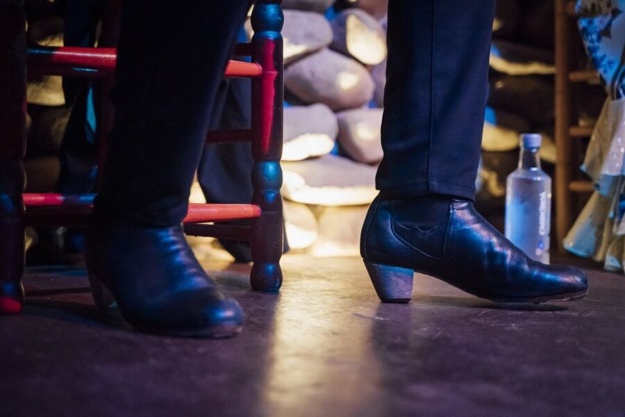 Malaga: Authentic Flamenco Show at El Gallo Ronco - Who will enjoy this show most