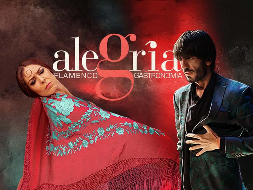 Málaga: Live Flamenco Show at Flamenco Alegría - Key points to know before you book