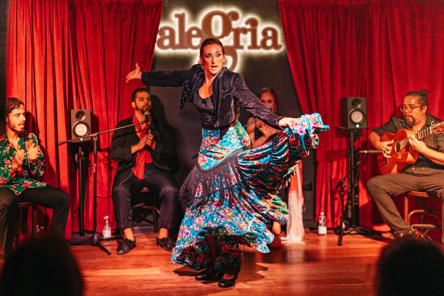 Málaga: Live Flamenco Show at Flamenco Alegría - Who will enjoy Flamenco Alegría most