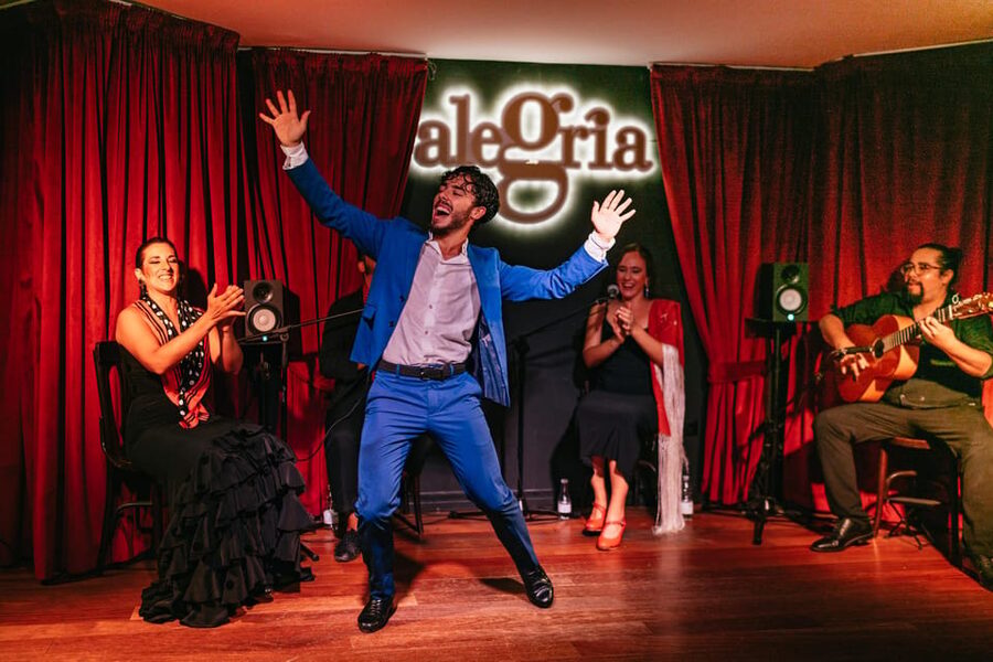 Málaga: Live Flamenco Show at Flamenco Alegría - The opening: dancers set the rhythm