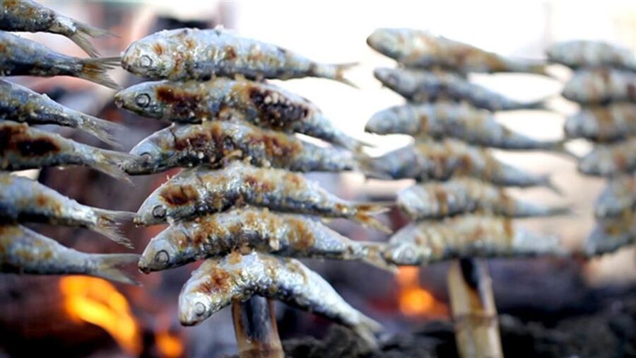 Malaga: PREMIUM TAPAS TOUR Paella, Tapas, Winery & Flamenco - Is $141 a fair price?