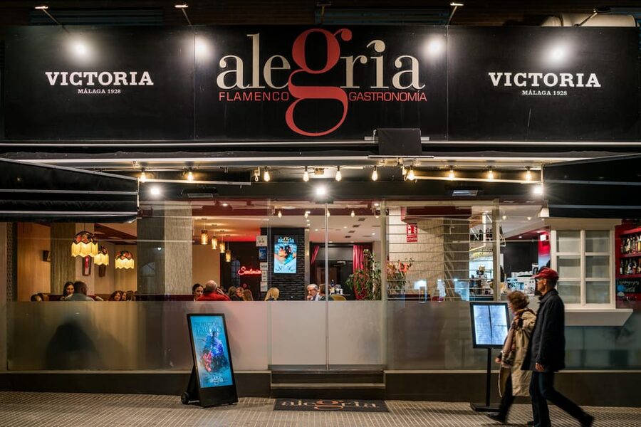 Malaga: Show and Food at Alegría Flamenco and Restaurant - The one-hour flamenco performance