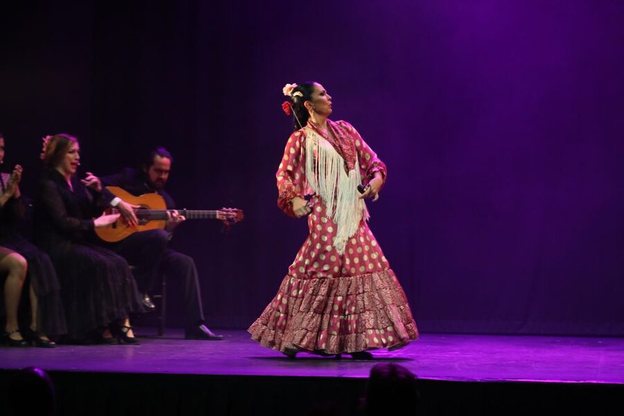 Malaga: Teatro Flamenco Malaga Live Flamenco Show - Key points before you book