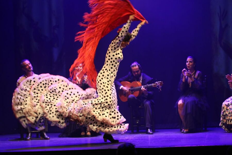 Malaga: Teatro Flamenco Malaga Live Flamenco Show - What happens during Esencia