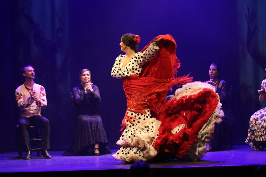 Malaga: Teatro Flamenco Malaga Live Flamenco Show - Planning dinner around the performance