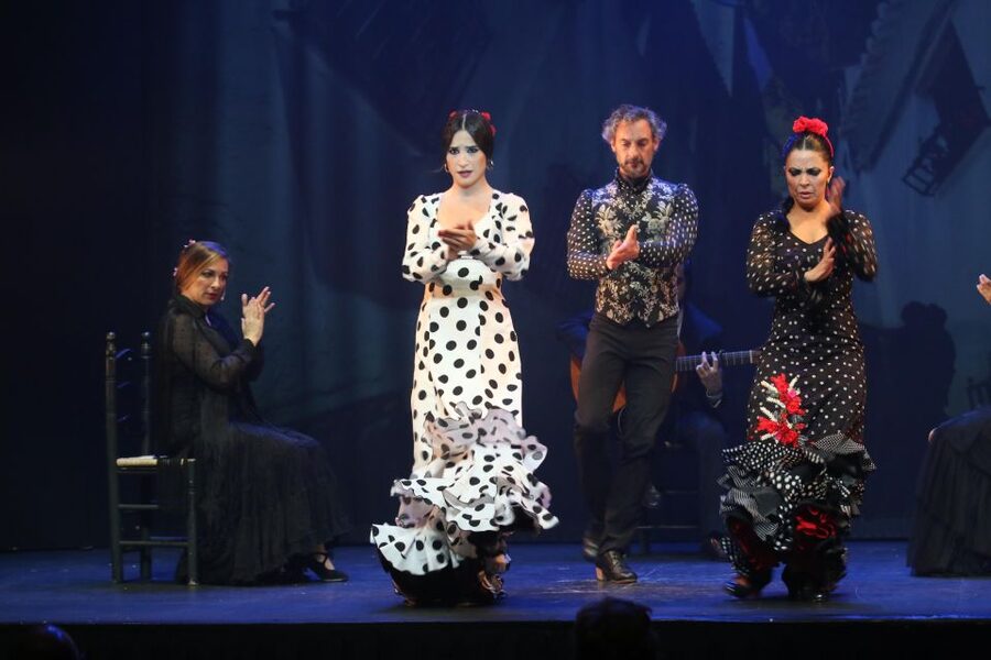 Malaga: Teatro Flamenco Malaga Live Flamenco Show - Small drawbacks worth knowing