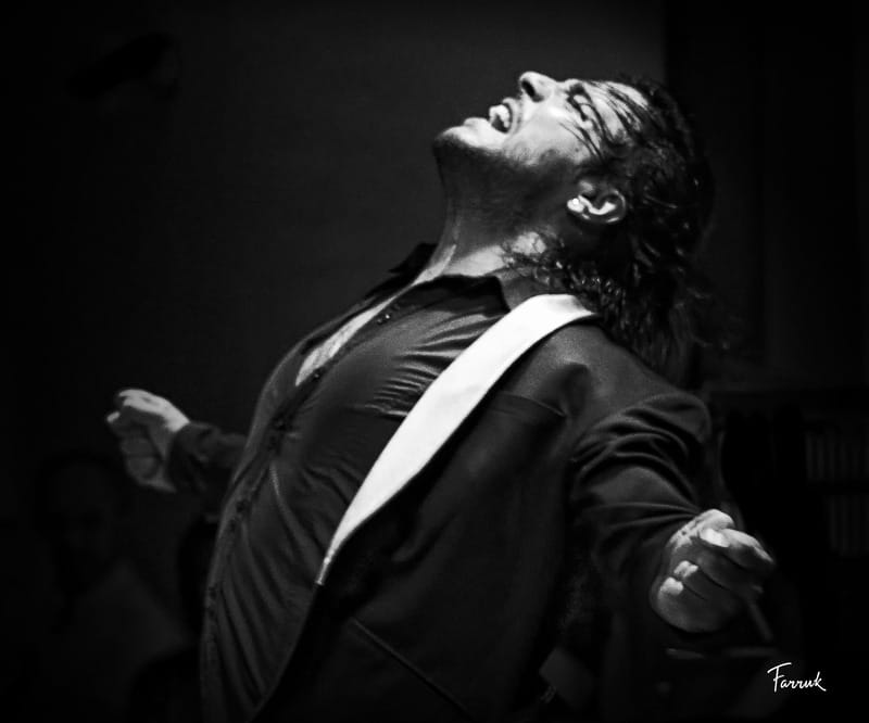 Mexico City: Flamenco Tablao Live Show & dinner - Where the venue details matter