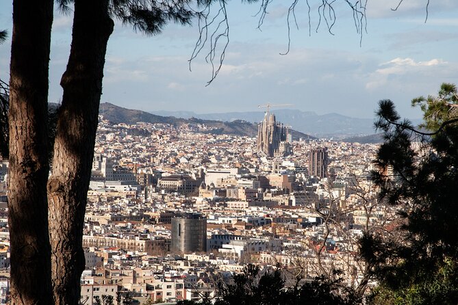 Montjuïc Walking Tour With Optional Flamenco Show - Why Montjuïc is worth giving two hours