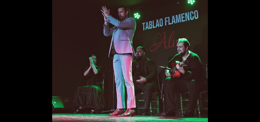 Palma: Flamenco Show at Tablao Flamenco Alma with Drink - The show begins with sound, rhythm, and close-up emotion