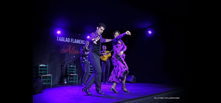 Palma: Flamenco Show at Tablao Flamenco Alma with Drink - Why the guitarist deserves your attention