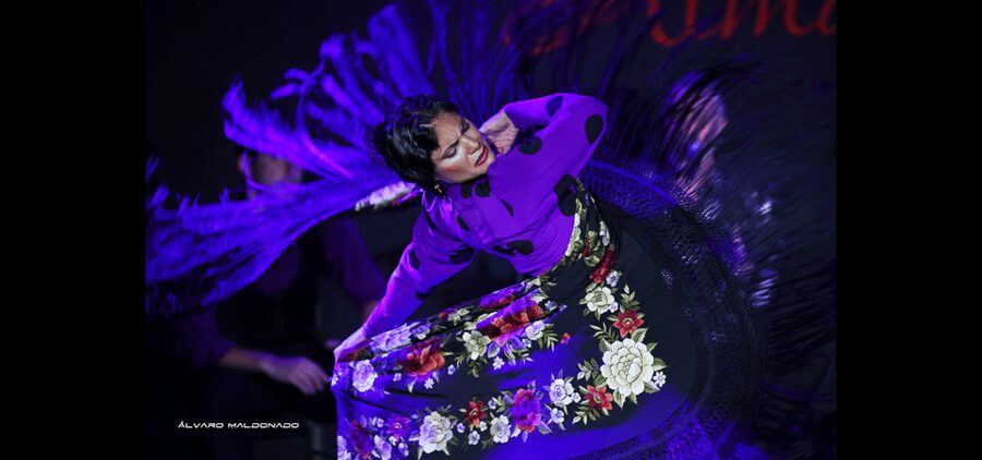 Palma: Flamenco Show at Tablao Flamenco Alma with Drink - What makes this feel like a cultural experience