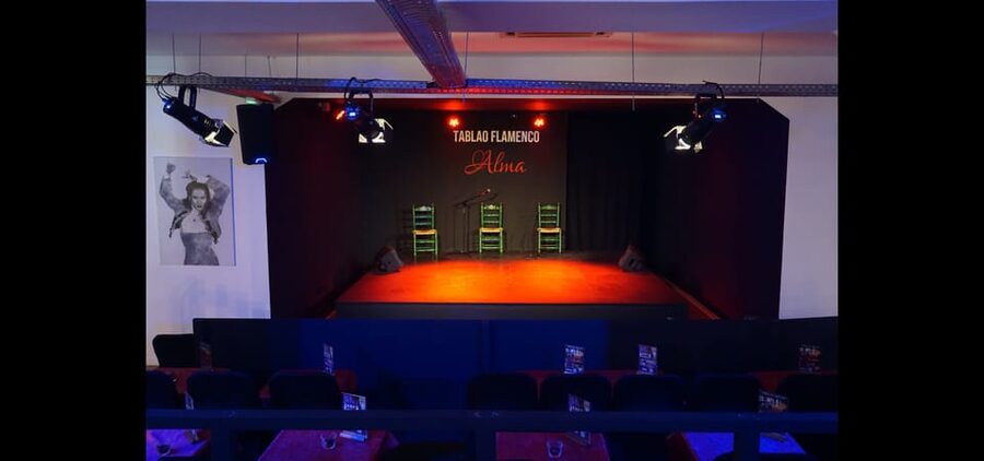 Palma: Flamenco Show at Tablao Flamenco Alma with Drink - Who should book this Palma flamenco show