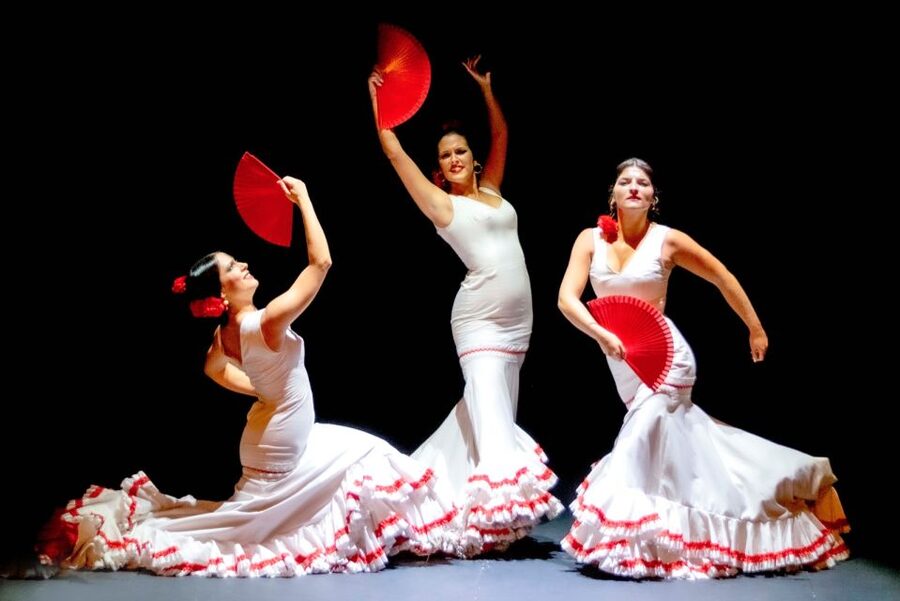 Panoramic Guadalquivir Cruise + Flamenco Show & Walking tour - Directions, vouchers, and the details that matter
