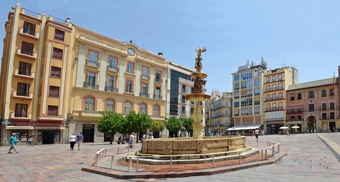 PREMIUM TAPAS TOUR: Paella, Tapas, Winery and Flamenco - Key points to know before booking