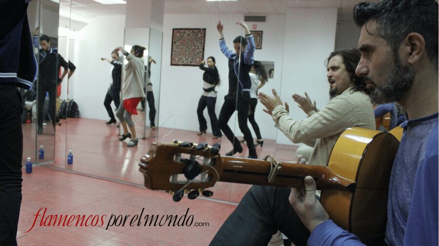 Sevilla : Flamenco Lessons - Choosing dance, singing, or guitar