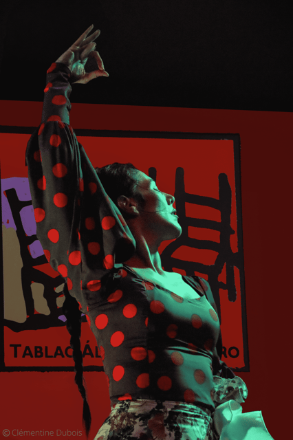 Sevilla: Flamenco Show at Tablao Álvarez Quintero - Entering the 18th-century house in Seville