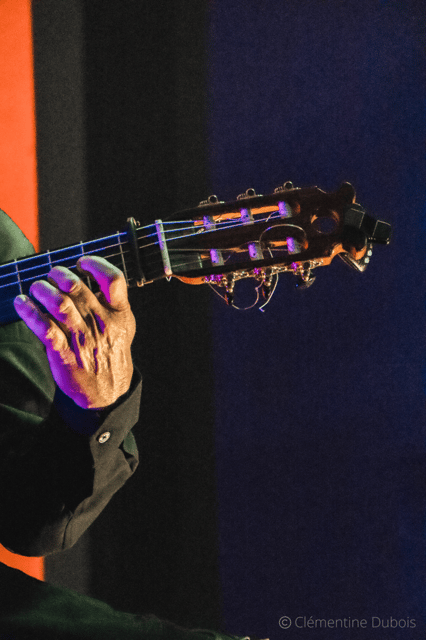 Sevilla: Flamenco Show at Tablao Álvarez Quintero - Language support and the lack of an introduction