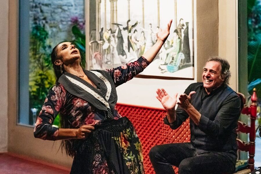 Seville: Casa de la Memoria Flamenco Show - A simple plan for your evening