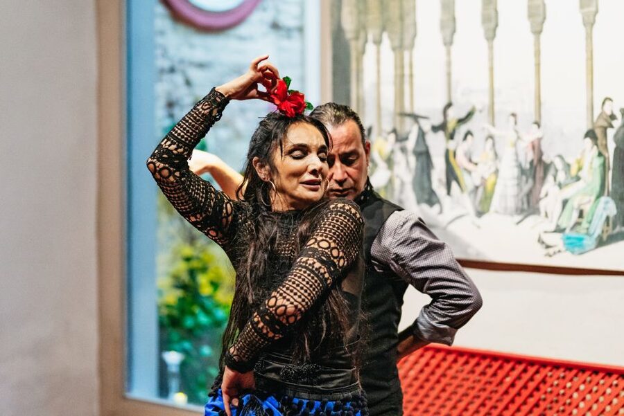 Seville: Casa de la Memoria Flamenco Show - The sound and physical force of flamenco