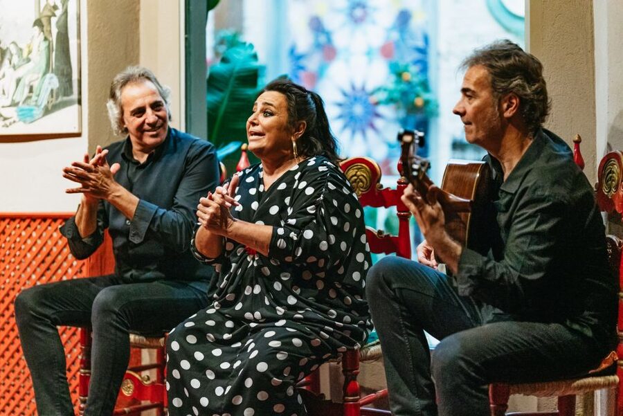 Seville: Casa de la Memoria Flamenco Show - Why the price offers good value