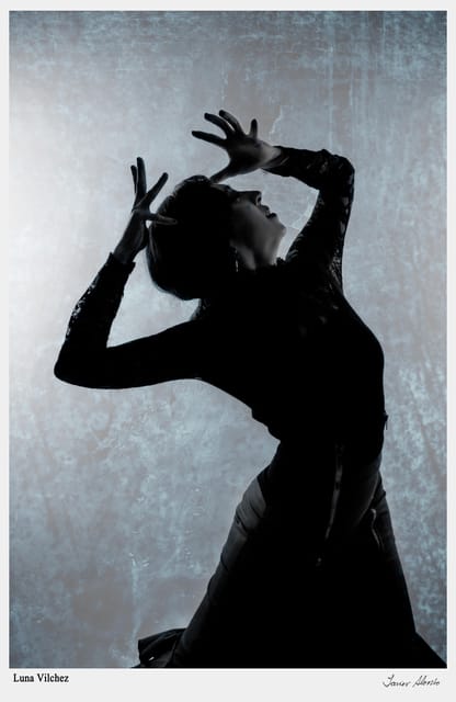 Seville: Enjoy a class of approach to flamenco - The call, the finish, and the meaning behind the steps