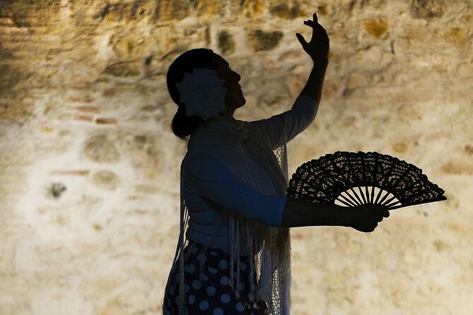 Seville Flamenco EBike Tour and Flamenco Show - An intimate hour at La Exclusiva