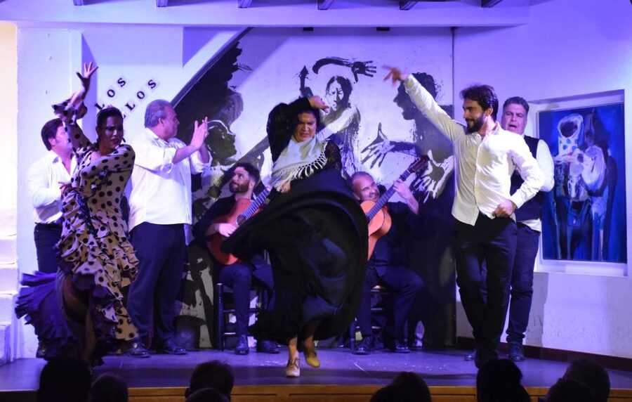 Seville: Flamenco Show at Tablao Los Gallos - A good evening in Santa Cruz