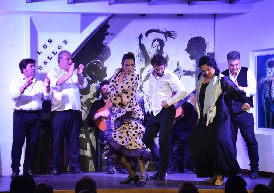 Seville: Flamenco Show at Tablao Los Gallos - Practical tips for a better night
