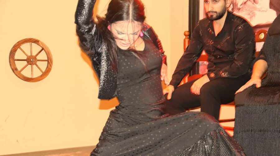 Seville: Flamenco Show & Cocktail Experience - Who should book this experience
