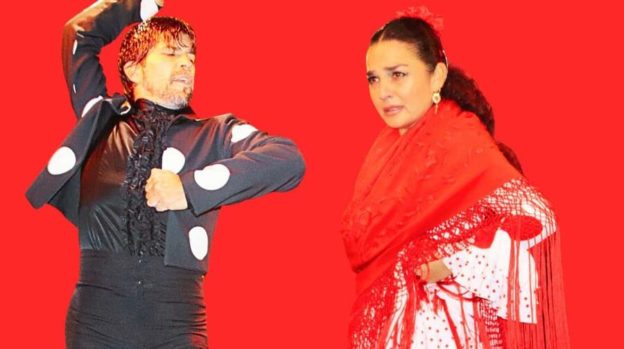 Seville: Flamenco Show & Cocktail Experience - The performance: guitar, voice, and footwork