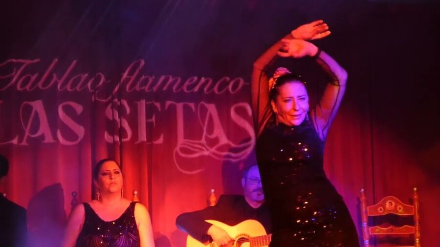 Seville: Flamenco Show & Roof Dinner with Cathedral Views - Moving from the tablao to Hotel Abba