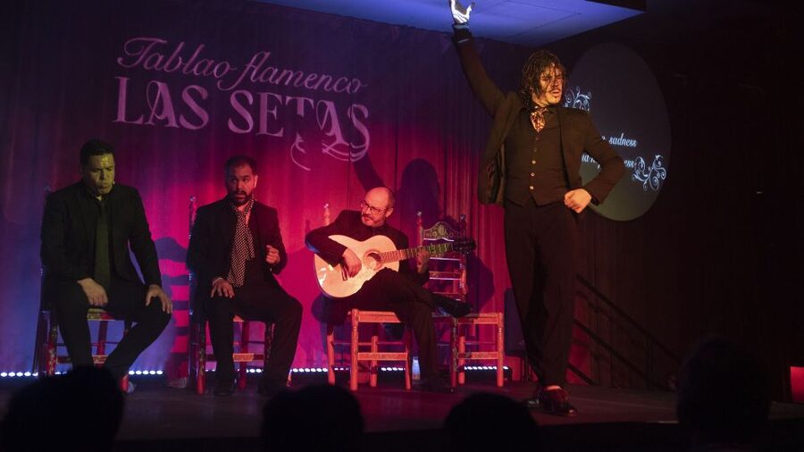Seville: Flamenco Show & Roof Dinner with Cathedral Views - Seating, cocktails, and the best place to sit