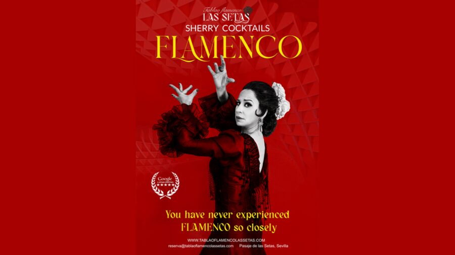 Seville: Flamenco Show Ticket at Tablao Flamenco Las Setas - What happens during the one-hour performance
