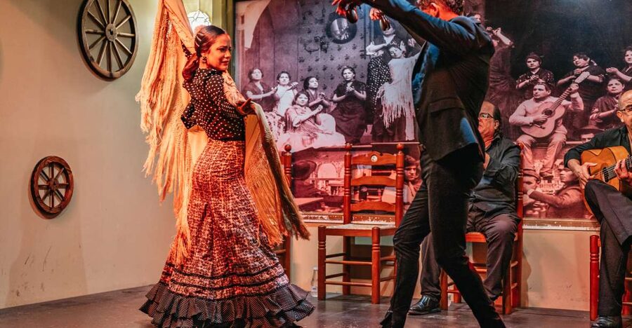Seville: Flamenco Show with Andalusian Dinner at La Cantaora - What Happens During the 90-Minute Show