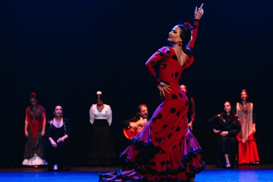 Seville: Live Flamenco Dancing Show Ticket at the Theater - Seating, arrival, and the best way to choose your place