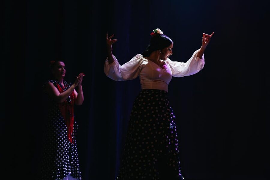 Seville: Live Flamenco Dancing Show Ticket at the Theater - What happens during the performance