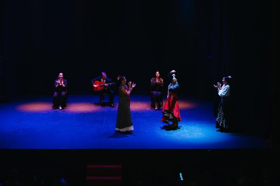 Seville: Live Flamenco Dancing Show Ticket at the Theater - Is $27 a fair price?
