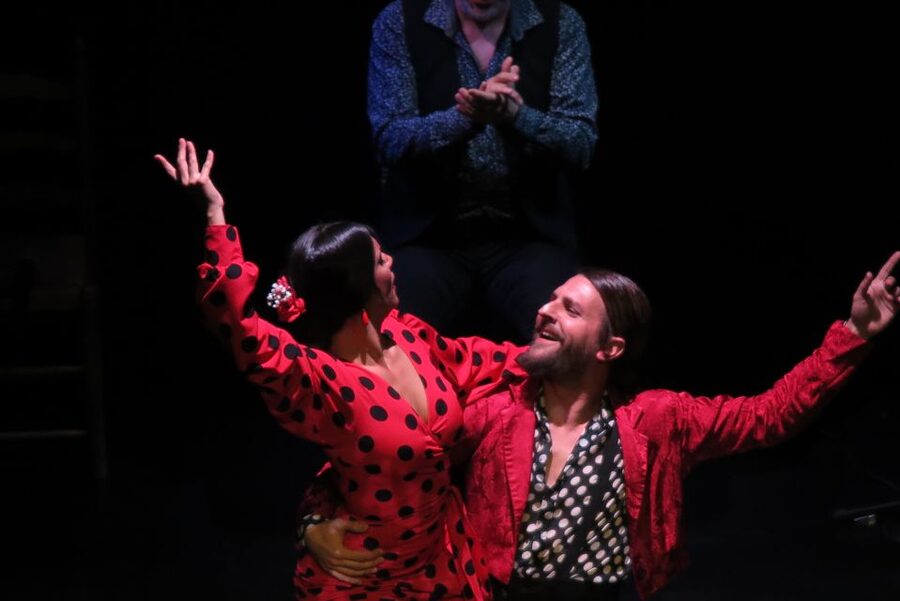 Seville: Live Flamenco Show at "Teatro Flamenco Triana" - The Foundation Behind Your Ticket