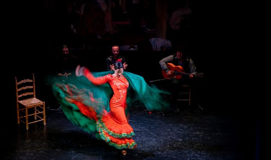 Seville: Live Flamenco Show at "Teatro Flamenco Triana" - Who Will Enjoy This Most?