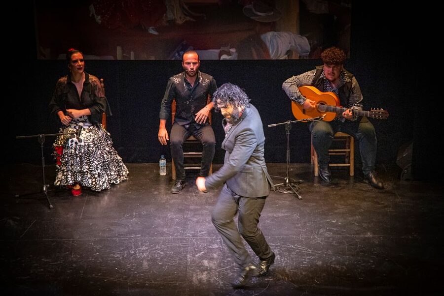 Seville: Live Flamenco Show at "Teatro Flamenco Triana" - Accessibility and Booking Flexibility