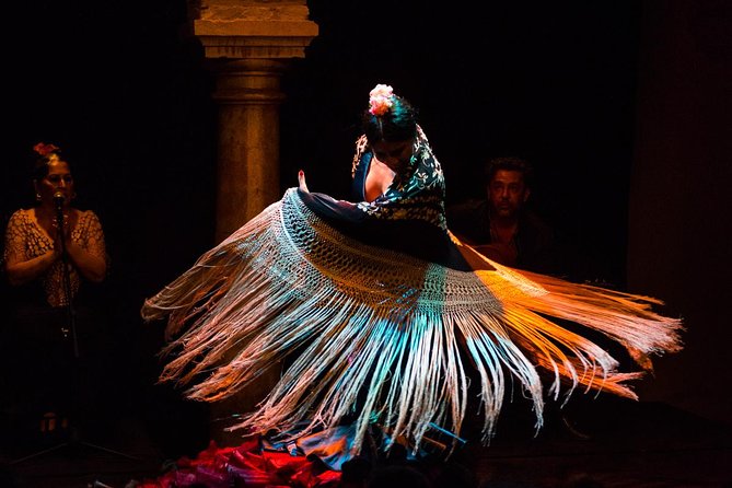 Seville: Puro Flamenco Show - Museo del Baile Flamenco - What Happens Inside the Museo del Baile Flamenco