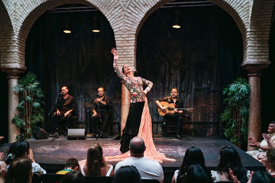 Seville: Puro Flamenco Show with Optional Museum Ticket - What happens during the one-hour show