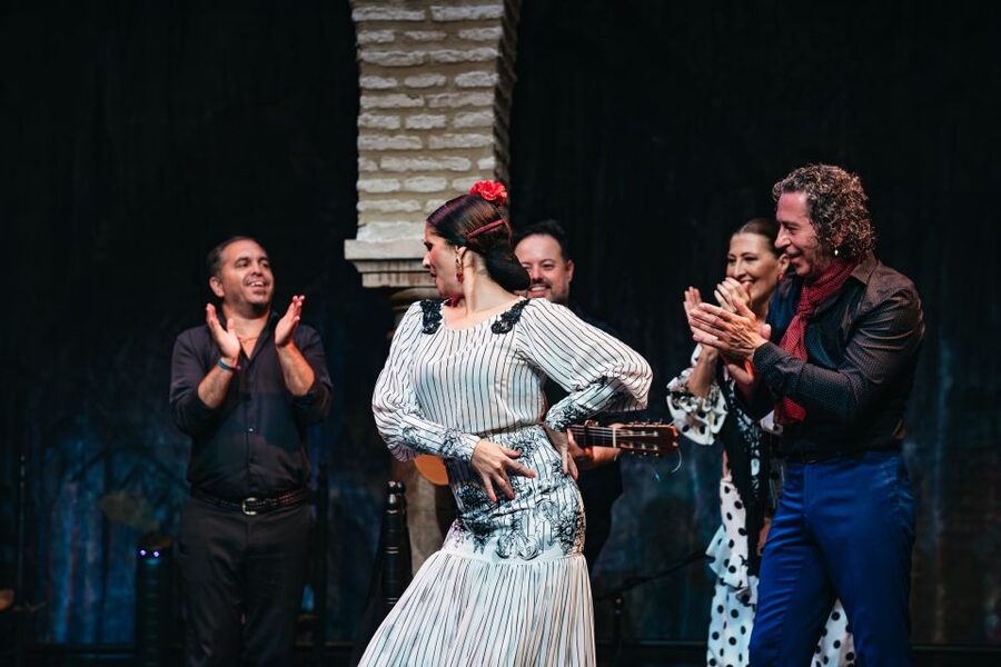 Seville: Puro Flamenco Show with Optional Museum Ticket - The music, costumes, and physical skill