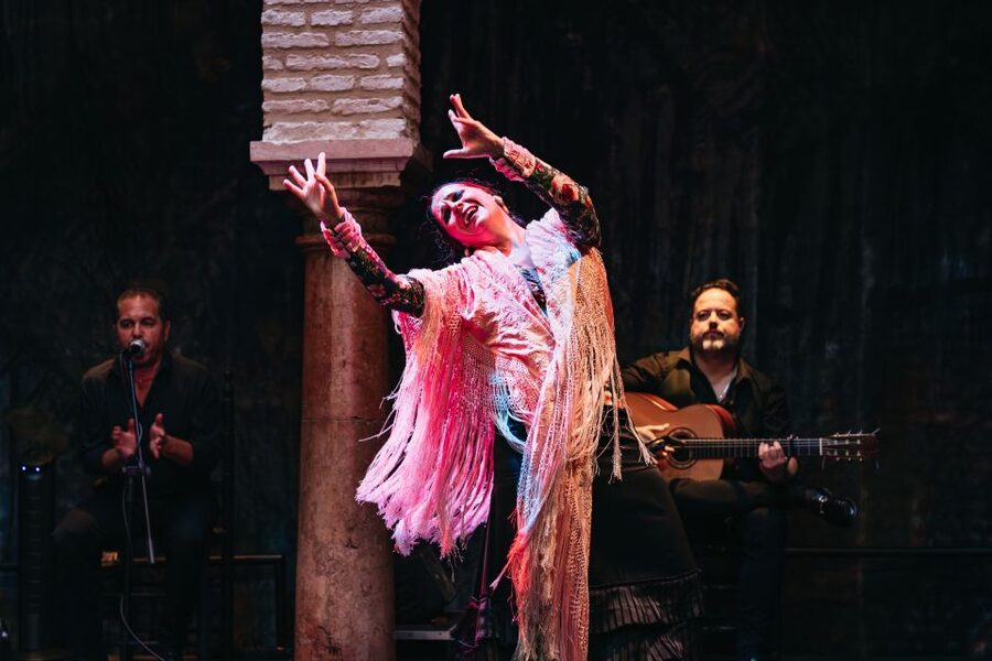 Seville: Puro Flamenco Show with Optional Museum Ticket - Is $34 a fair price?