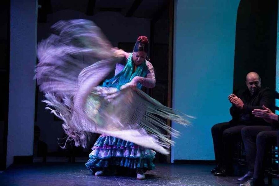 Seville: Tapas Dinner and Flamenco Show - Who will enjoy this evening most