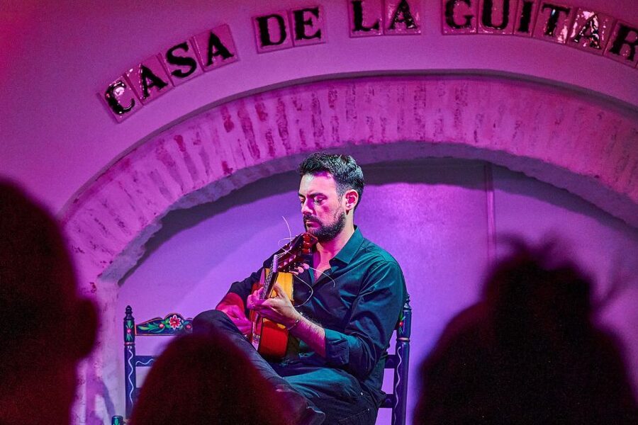 Seville: Ticket to Flamenco Show at La Casa de la Guitarra - The Introduction Before the Music