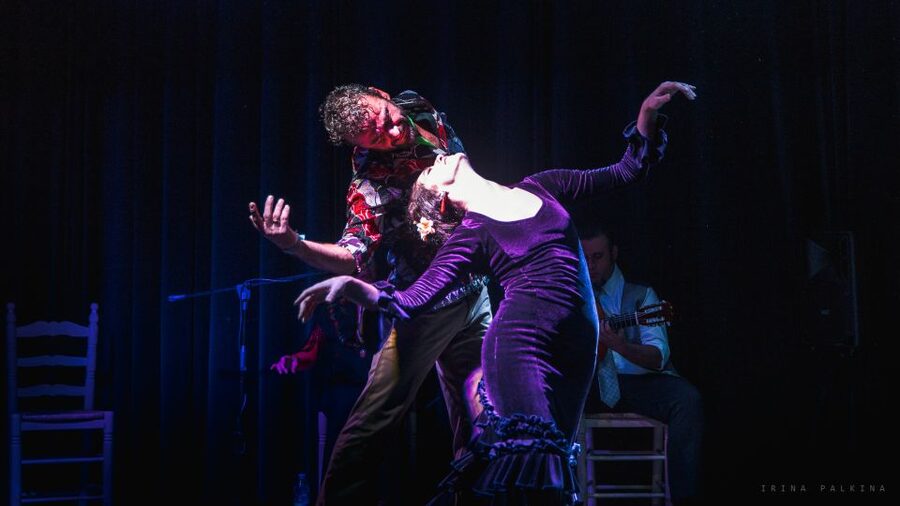 Seville: Traditional Flamenco Show in Triana - Is $26 good value?