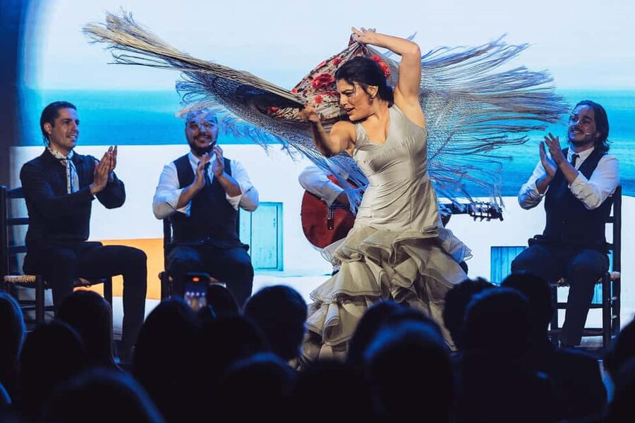 Teatro Flamenco Barcelona: Authentic Live Flamenco Show - Should you book Teatro Flamenco Barcelona?